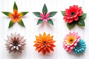 Thumbnail für 'Grafikdesign Zertifizierung' Kurs